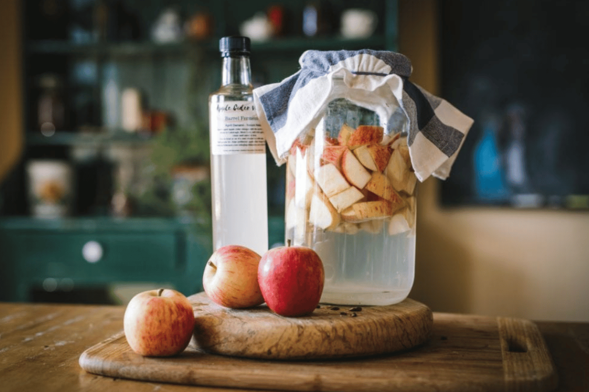 apple cider vinegar weight loss recipe