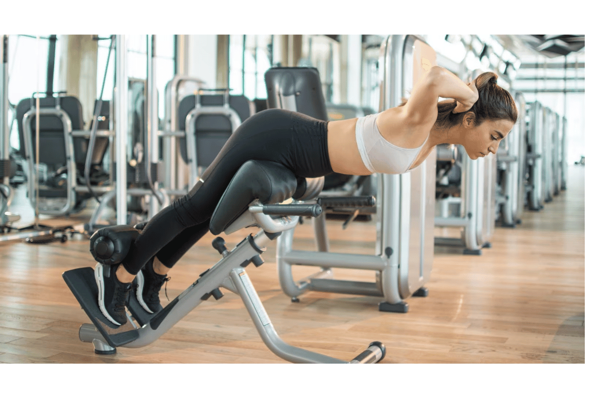 how to lose belly fat