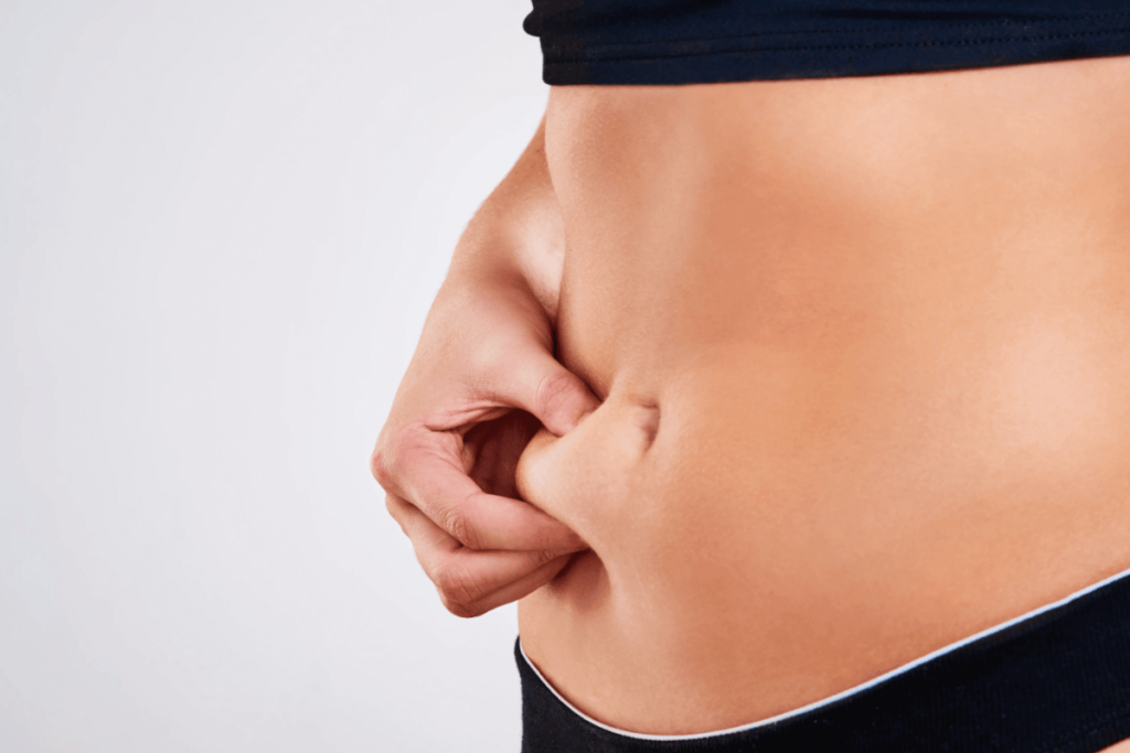 lower abdominal fat female
