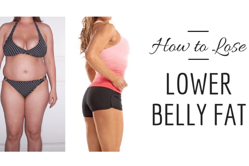 lower stomach fat female