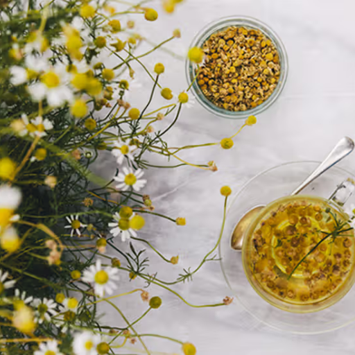 Chamomile Tea as a Powerful Tool for Fast and Natural Weight Loss