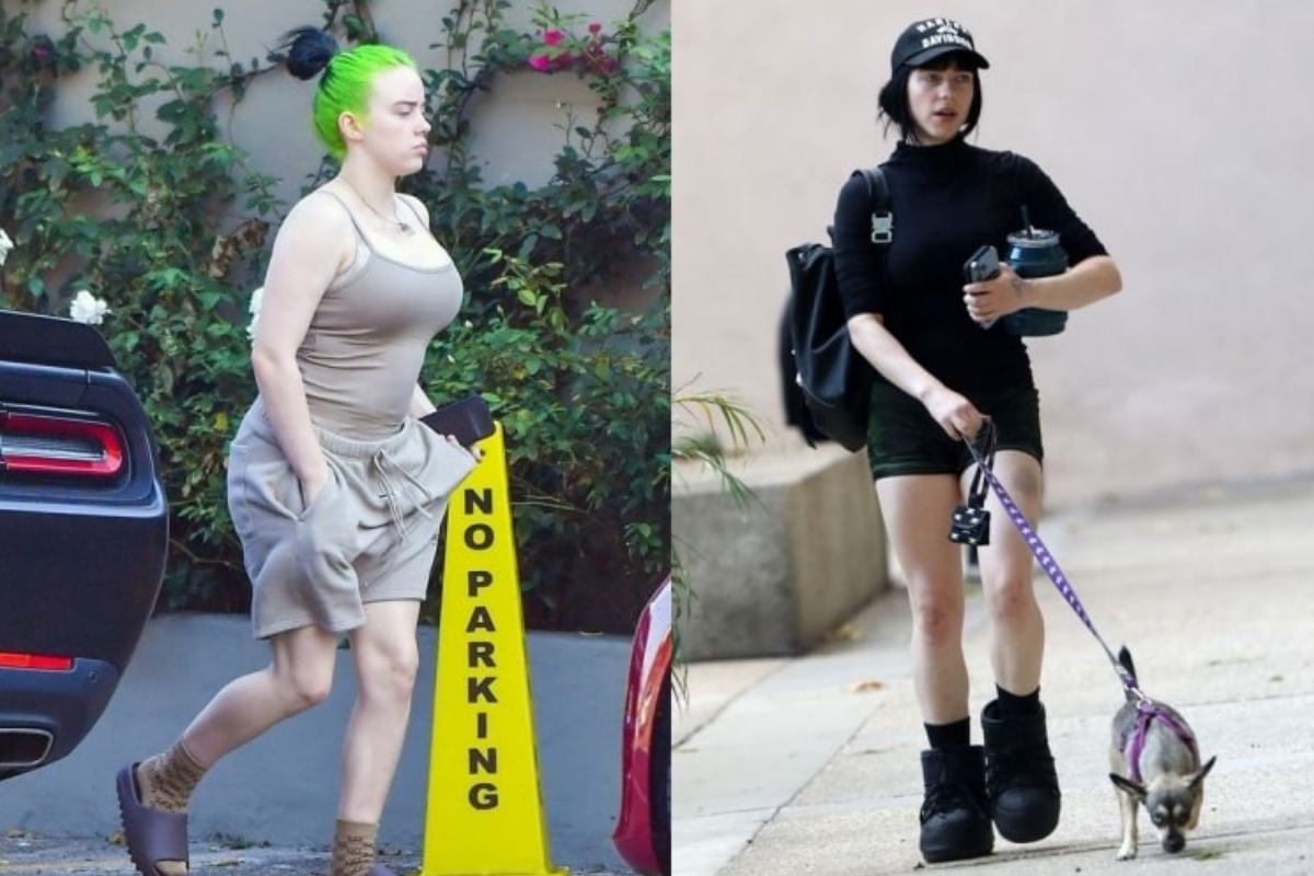 The Best Billie Eilish Weight Loss Secrets Revealed One Week Before  Christmas