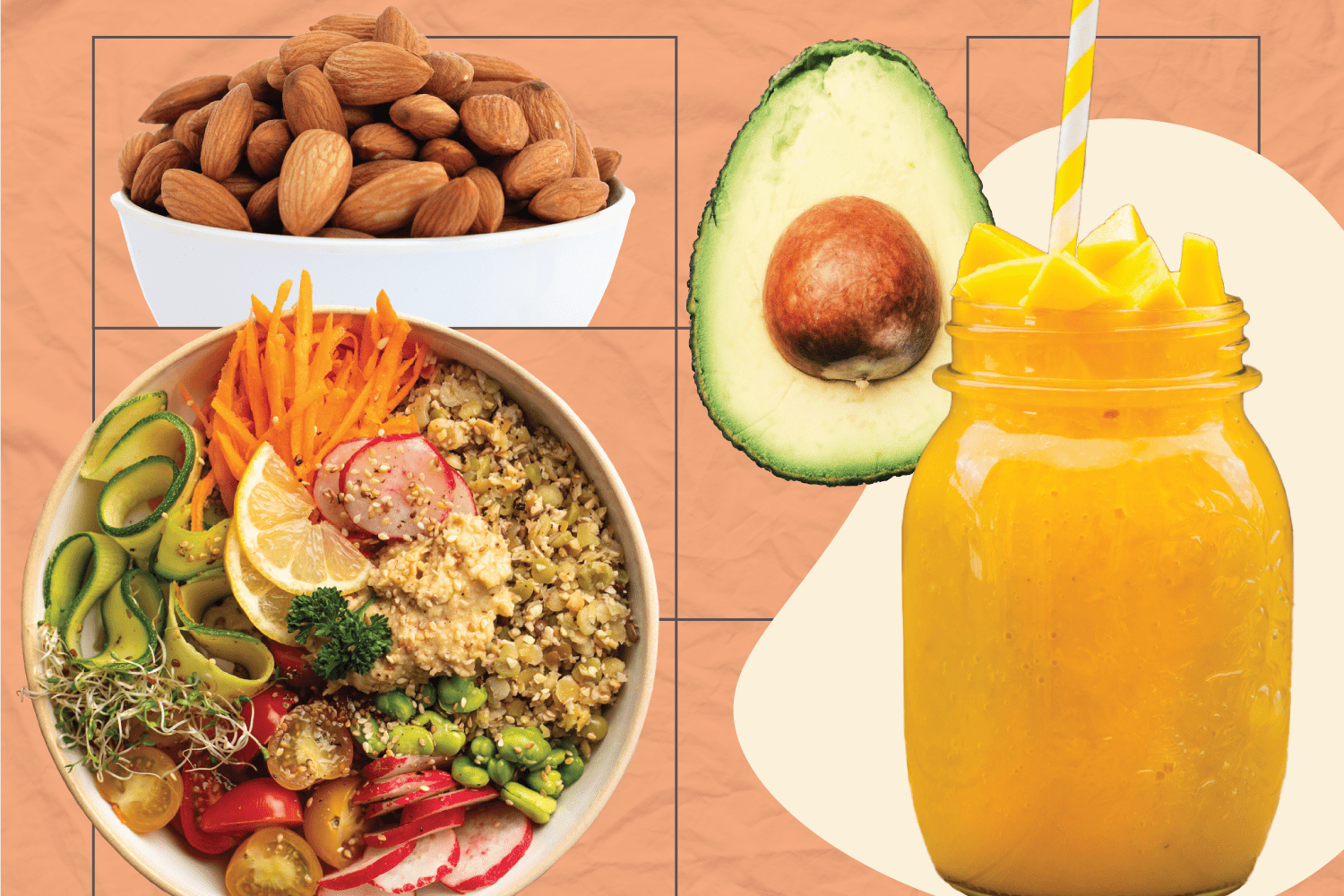 Understanding the Basics of a Diet Plan to Lose Weight