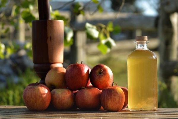 apple cider vinegar weight loss recipe