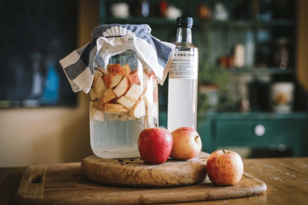 apple cider vinegar weight loss recipe