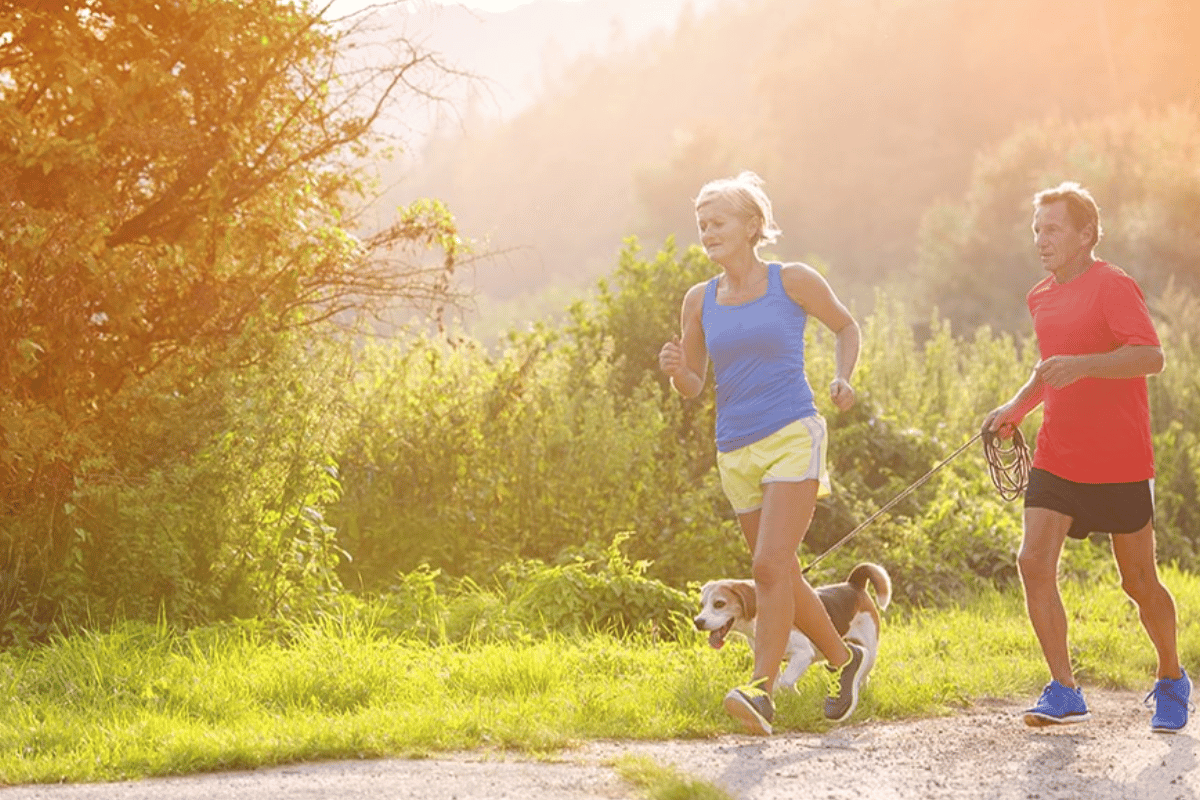 best beginner exercises to lose weight