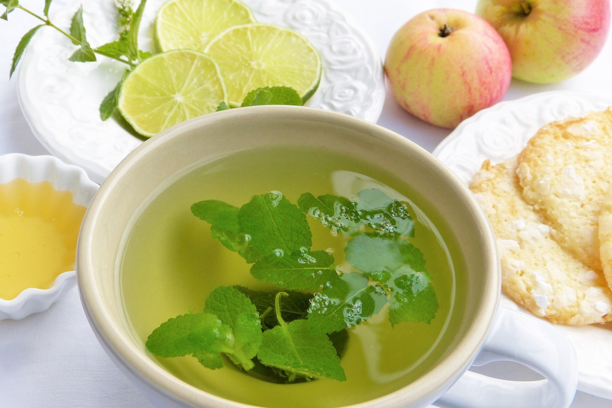 lemon balm recipe for weight loss