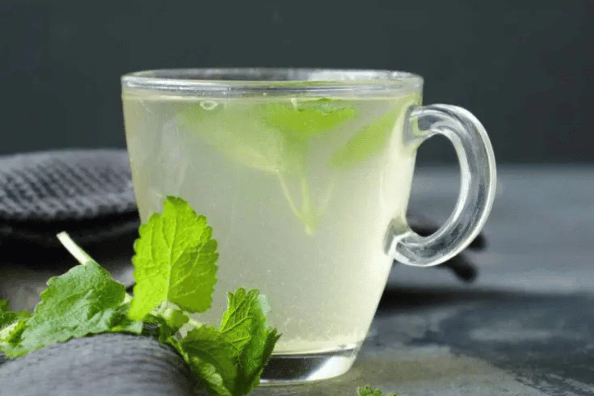 lemon balm recipe for weight loss