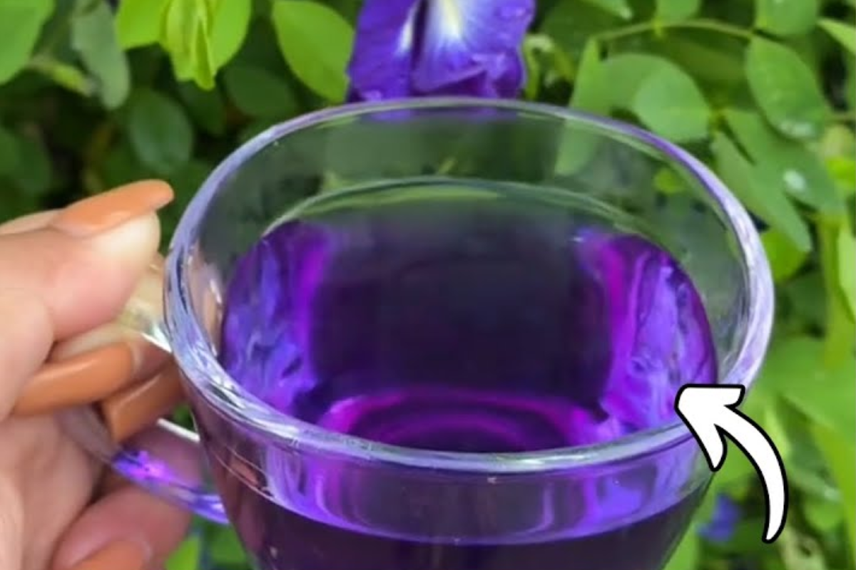 natural mounjaro recipe