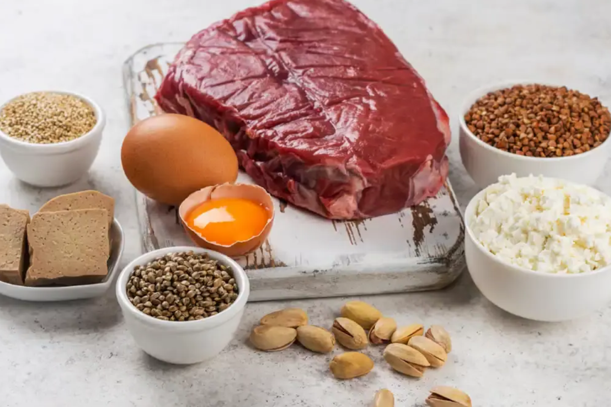 protein to lose weight