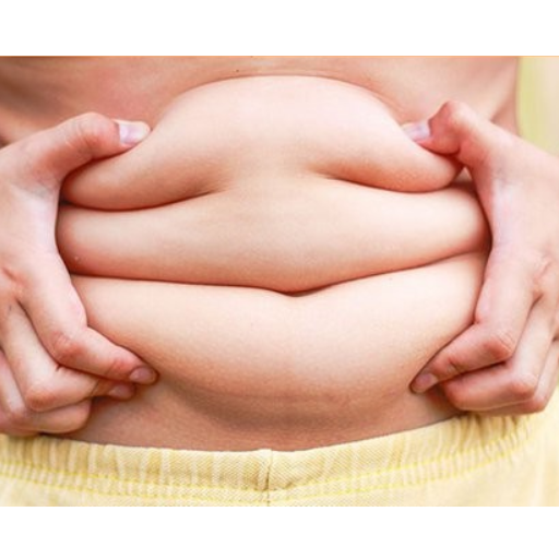reduce belly fat